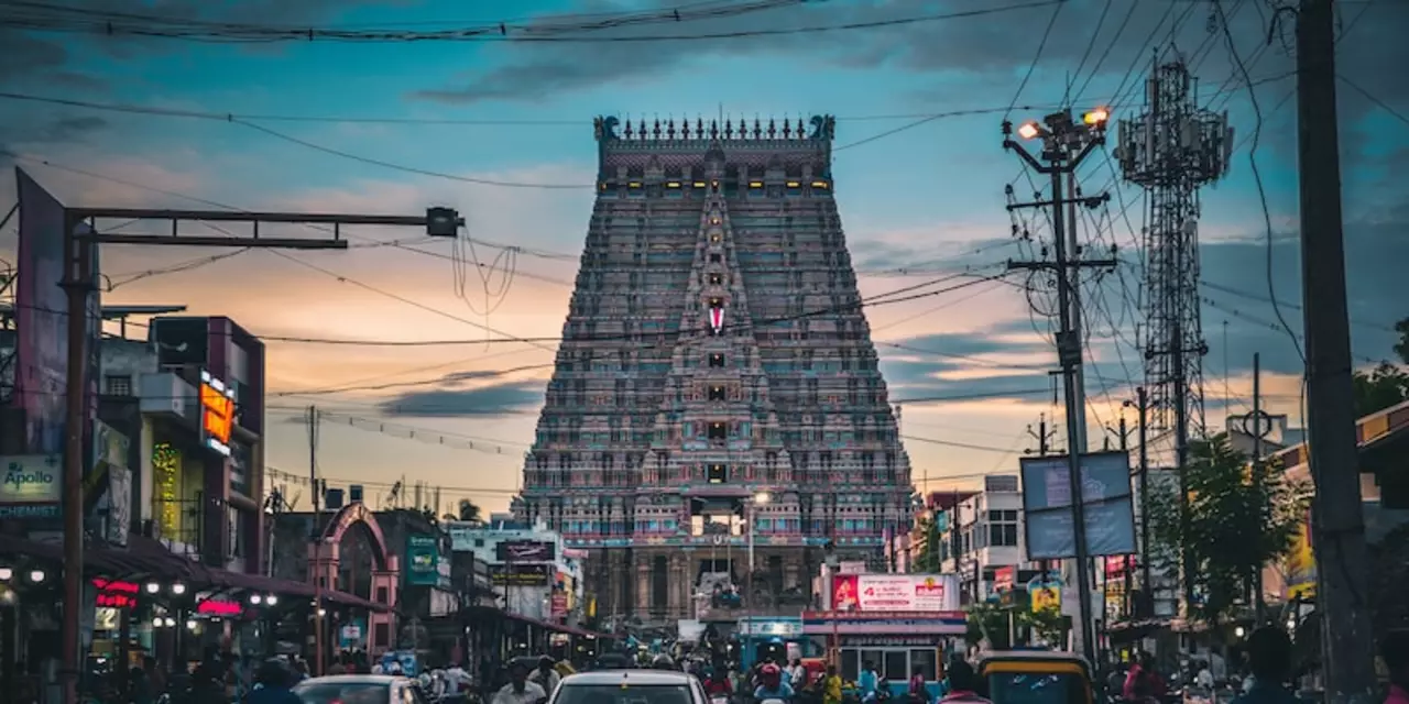What are the pros and cons of living in Tamil Nadu?